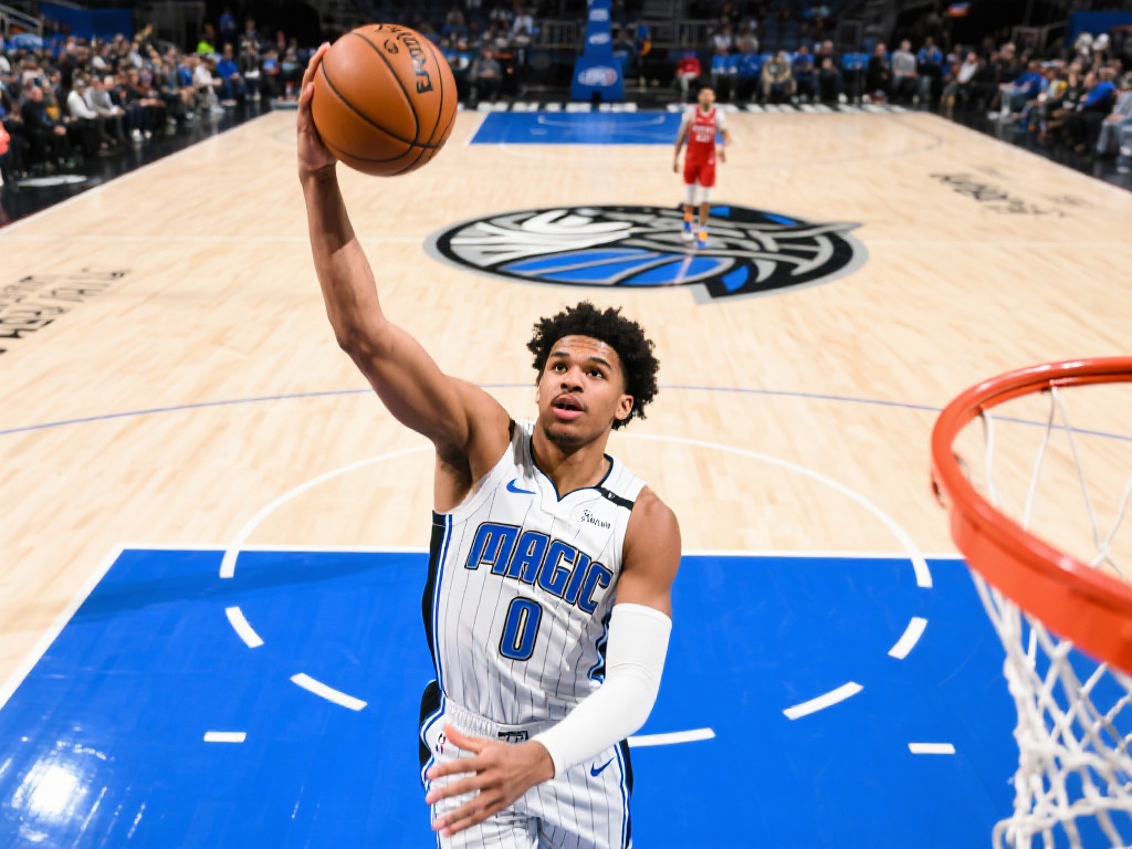 的欧洲情怀 的欧洲情怀